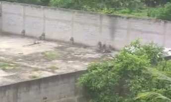 Imagem 3: Terreno Terreno / lote com venda com preço sob consulta