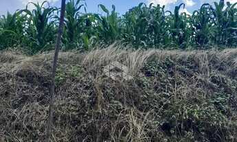 Imagem 4: Terreno em Tuiuty