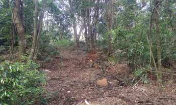 Imagem 2: Terreno à Venda em Gramado!