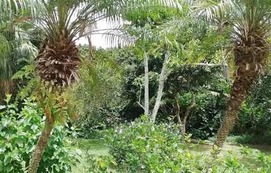 Imagem 4: Terreno com 1.047m² em Sambaqui