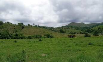 Imagem 5: Fagenda à Venda em Campinaçu