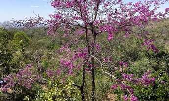 Imagem 7: Belíssima Chácara a 5km de Chapada dos Guimarães - MT