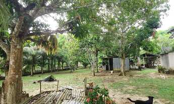 Imagem 4: Sítio no Km 26 da AM 070 Porteira Fechada