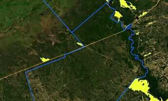 Imagem 6: Fazenda no Pantanal Barão de Melgaço (MT) 12.649 HA, cria, recria e engorda, beira do Ri