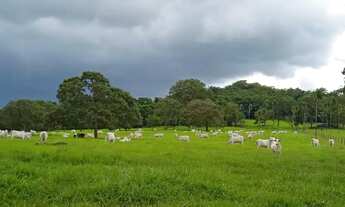 Imagem: Fazenda 26.8 alqueires município de Trindade-GO