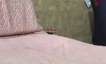 Imagem 5: LINDO APARTAMENTO NA PONTA DO FAROL NASCENTE / VENTILADO /REFORMADO E PROJETADO, VIST MAR