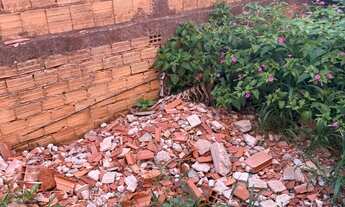 Imagem 4: Vendo lote no sol nascente