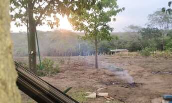 Imagem 5: Vende-se chácara de 9.800mts em Vianopolis