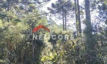 Imagem 7: Lote em Est Bracatinga - Contendas - São Francisco de Paula/RS