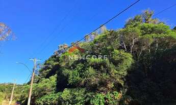 Imagem 6: Lote em Avenida Ximangos - Colinas - São Francisco de Paula/RS
