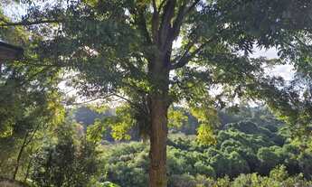 Imagem: Oportunidade de ter vista exclusiva da natureza