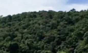 Imagem 5: Terrenos na cidade de Ibiúna - SP