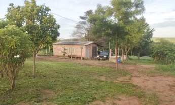 Imagem: Vende-se chácara de 9.800mts em Vianopolis