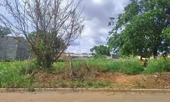 Imagem: 8 Lotes 360,00m² (Asfalto) Parque Ibirapuera