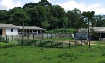 Imagem 4: Fazenda para criação de gado em Jaquirana/RS
