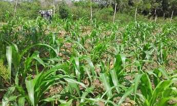 Imagem 6: Sitio cidade Araçás