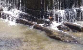 Imagem 6: Lote Pesqueiro Poção do Jau- 30 mil reais