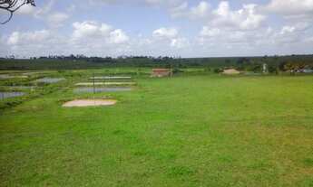 Imagem 7: Promoção 15,5 tarefas em São Sebastião