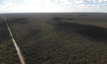 Imagem 3: FAZENDA PRA LARANJA COM 7.000HECTARES, BARATA!!
