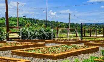 Imagem 4: CONDOMINIO DE CHACARAS A VENDA -CANAÃ - TERRA SANTA- TRINDADE-GO