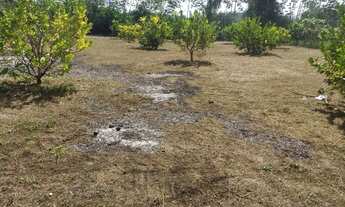 Imagem 2: Iranduba 8.500 "lindo terreno" med.. 10x40 a 5km do Caldeirão km 13