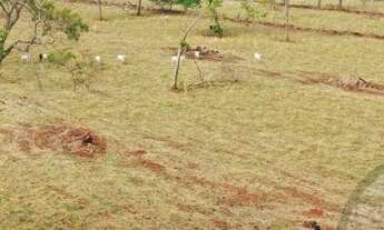 Imagem 5: Fazenda Dupla Aptidão 197 Alqueires. Tocantins