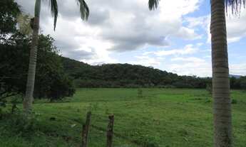 Imagem 16: FAZENDA Fazenda / sítio com venda por R$2.500.000