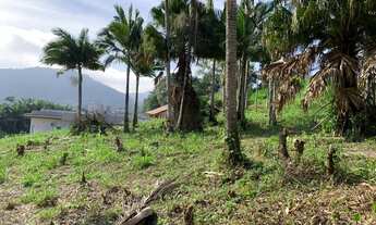Imagem: Terrenos no Centro de Pomerode - SC