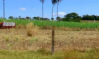 Imagem: Oportunidade! Vende-se uma belíssima fazenda