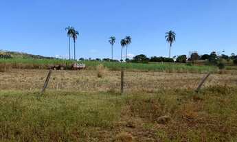 Imagem 7: Oportunidade! Vende-se uma belíssima fazenda de 250 Alqueires
