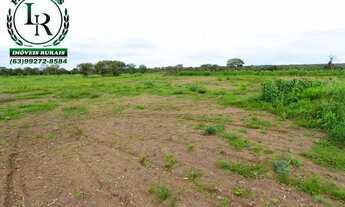 Imagem 5: Fazenda 110 Alqueires Beira Asfalto, Próximo da Capital