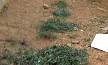 Imagem 2: Terreno 5 x 25 Barueri - SP c/ escritura