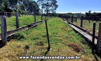 Imagem: Fazenda 25,5 alqueires em Corumbá de Goiás