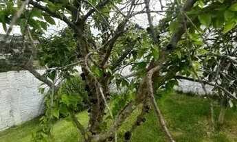 Imagem 6: Oportunidade de chácara em Caratinga