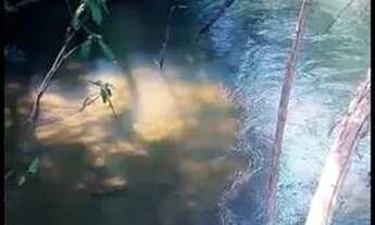 Imagem: Chácara 3. 72 alqueires Trindade Goiás