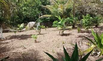 Imagem 3: Sítio em Benevides 5 km do centro de Benevides