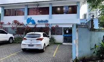 Imagem 4: Casa para aluguel possui 604 metros quadrados com 12 quartos em Casa Forte - Recife - PE