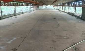 Imagem 7: SITIO ribeirao preto 3 alqueires com irrigacao 3 galpoes zap *2