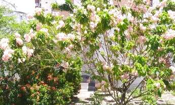 Imagem 7: RUA DOM SEBASTIÃO LEME, Nº 672, BAIRRO DE FÁTIMA