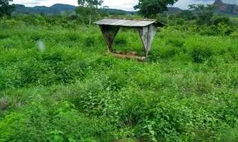 Imagem 4: Fazenda com 1016 Hectares, município de Guiratinga- MT