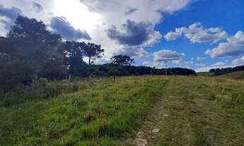 Imagem 6: Terreno na Barragem do Salto!