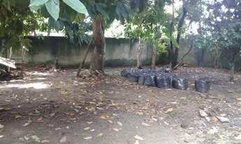 Imagem 6: João Paulo ( Jorge Teixeira