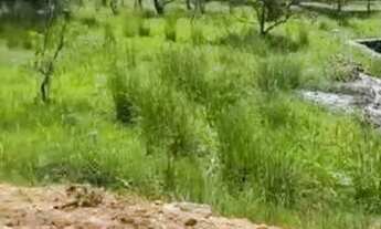 Imagem 1: Oportunidade terreno 8x18 Guaratiba