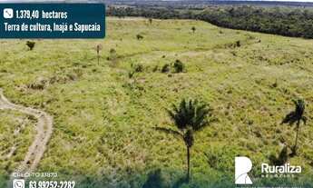 Imagem: Terras de cultura, Inajá e Sapucaia