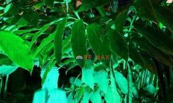 Imagem: Pipa. No coração de Pipa, na icónica