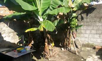 Imagem 4: Casa em areia branca