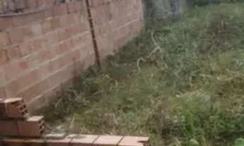 Imagem 2: Essa ê boa em mosqueiro vende-se um lindo terreno em mosqueiro