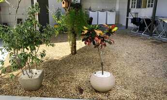 Imagem 4: Kitnet/conjugado para aluguel tem 25 metros quadrados com 1 quarto em Setor Bueno - Goiâni