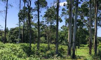 Imagem 2: Área a venda com 825 mil m² em Garuva