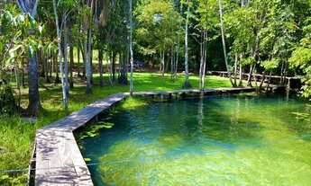 Imagem 4: Aluga se sítio Casa com 4 dormitórios